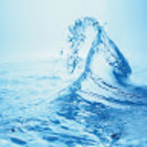 Meet your Posher, Janean